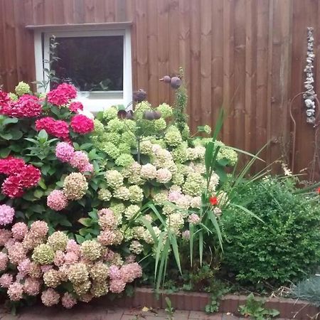1 Raum Appartement Mit Kuechenzeile In Капелн Екстериор снимка