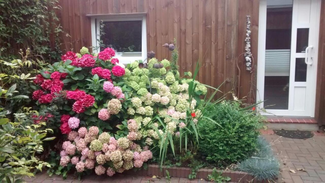 1 Raum Appartement Mit Kuechenzeile In Капелн Екстериор снимка